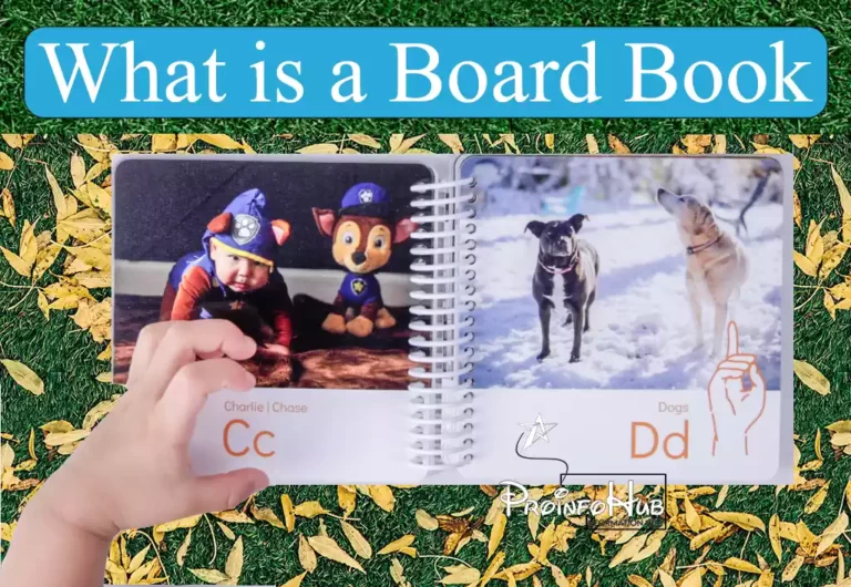 What is a Board Book